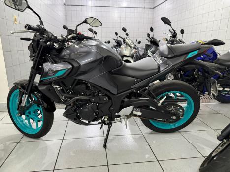 YAMAHA MT-03 300 ABS, Foto 1