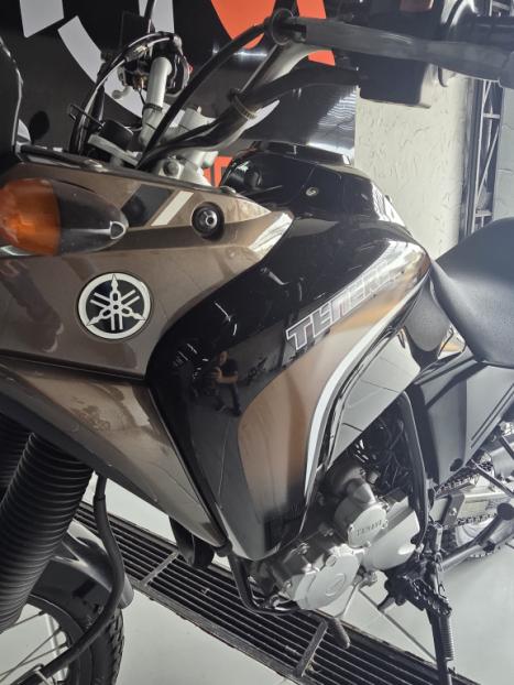 YAMAHA Tener� 250 XTZ, Foto 4