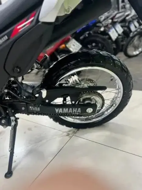 YAMAHA XTZ 250 , Foto 12