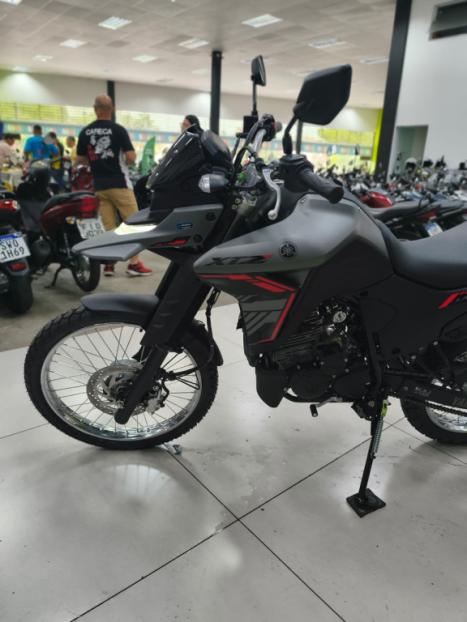 YAMAHA XTZ 250 LANDER, Foto 6