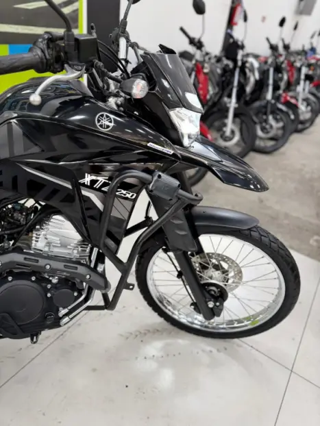 YAMAHA XTZ 250 LANDER, Foto 2