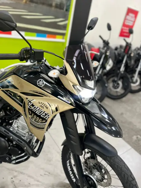 YAMAHA XTZ 250 LANDER, Foto 12