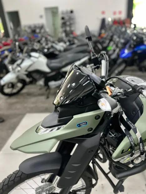 YAMAHA XTZ 250 LANDER, Foto 7