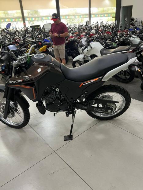 YAMAHA XTZ 250 LANDER, Foto 2