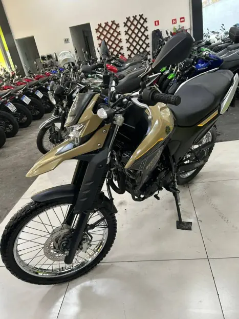 YAMAHA XTZ 250 LANDER, Foto 2