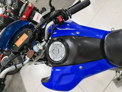 YAMAHA XTZ 250 LANDER, Foto 4