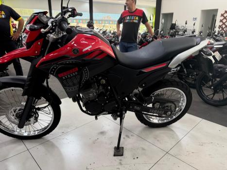 YAMAHA XTZ 250 LANDER, Foto 14