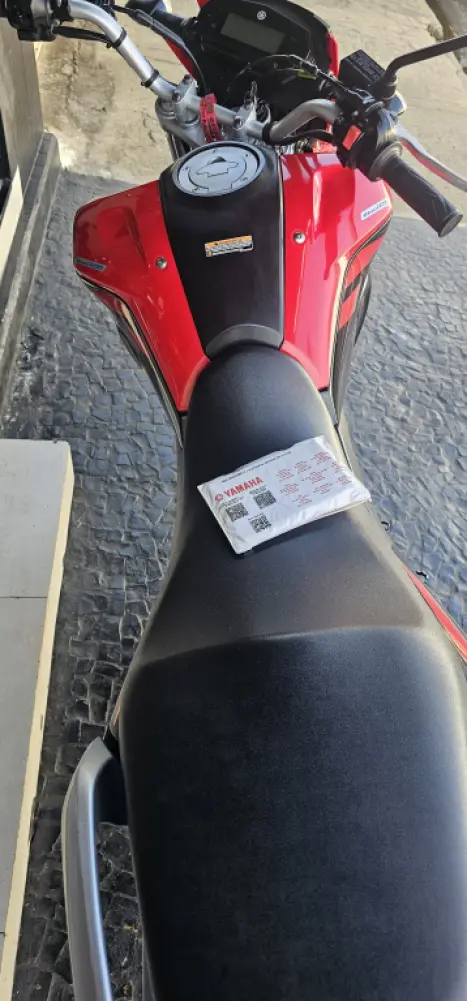 YAMAHA XTZ 250 LANDER, Foto 2