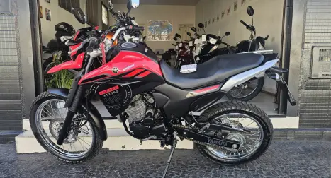 YAMAHA XTZ 250 LANDER, Foto 5