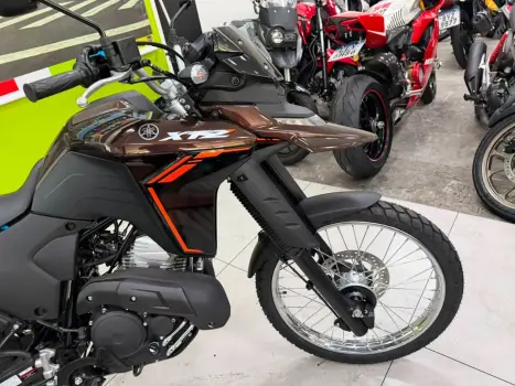 YAMAHA XTZ 250 LANDER, Foto 3