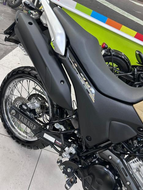 YAMAHA XTZ 250 LANDER, Foto 3