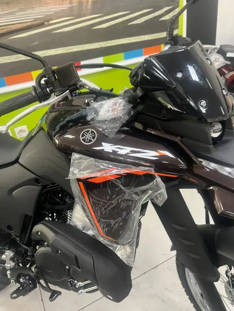 YAMAHA XTZ 250 LANDER, Foto 2