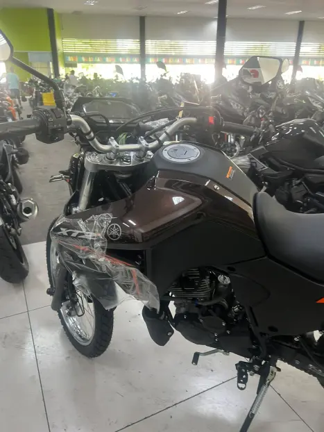 YAMAHA XTZ 250 LANDER, Foto 6