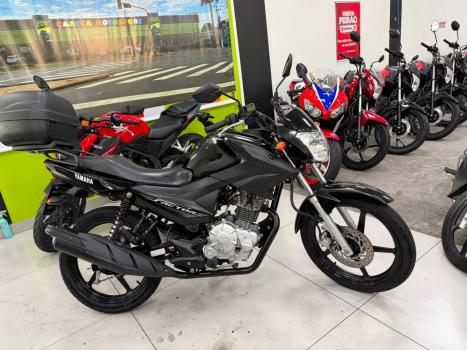 YAMAHA YBR 125 FACTOR ED, Foto 2