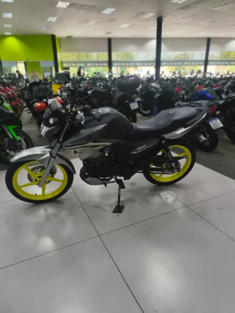 YAMAHA YBR 150 FACTOR ED, Foto 4