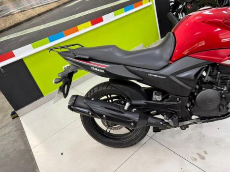 YAMAHA YS Fazer 250 LIMITED EDITION, Foto 3