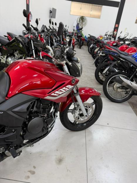 YAMAHA YS Fazer 250 LIMITED EDITION, Foto 6