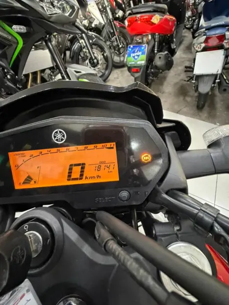 YAMAHA YS Fazer 250 , Foto 12