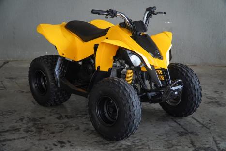 CAN-AM DS 90 , Foto 1