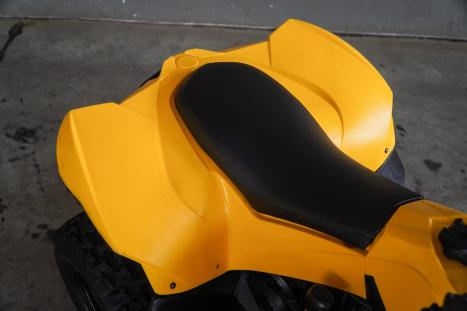 CAN-AM DS 90 , Foto 3