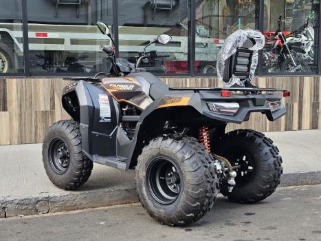FUN MOTORS Farmer 200 , Foto 2