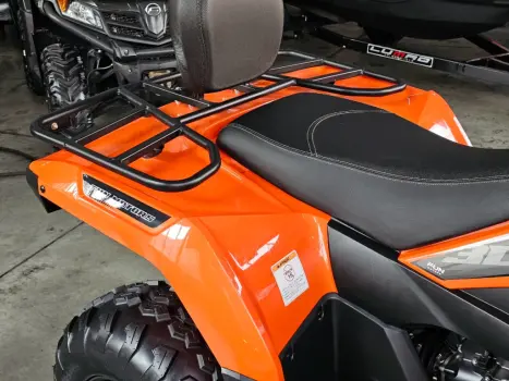 FUN MOTORS Farmer 300 , Foto 10