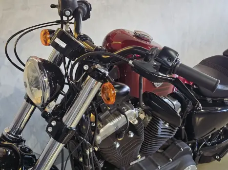 HARLEY DAVIDSON Sportster XL 1200 FORTY EIGHT, Foto 14