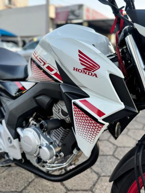 HONDA CB 250 F Twister FLEXONE, Foto 6