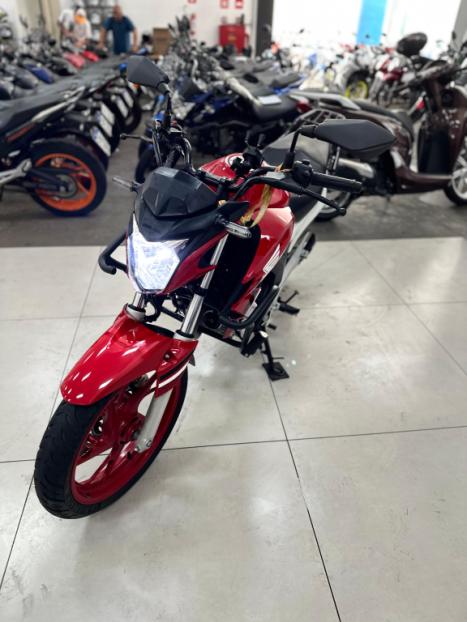 HONDA CB 250 F Twister FLEXONE, Foto 2