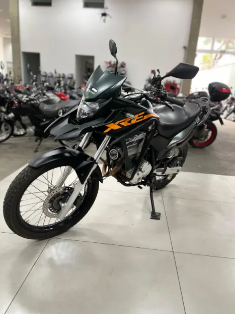 HONDA XRE 300 ADVENTURE, Foto 2