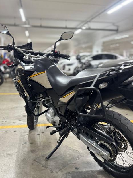 HONDA XRE 300 ADVENTURE, Foto 2