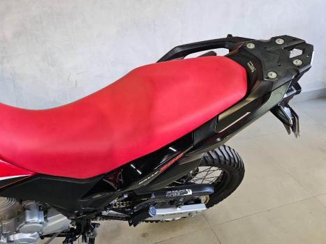 HONDA XRE 300 RALLY ABS, Foto 6