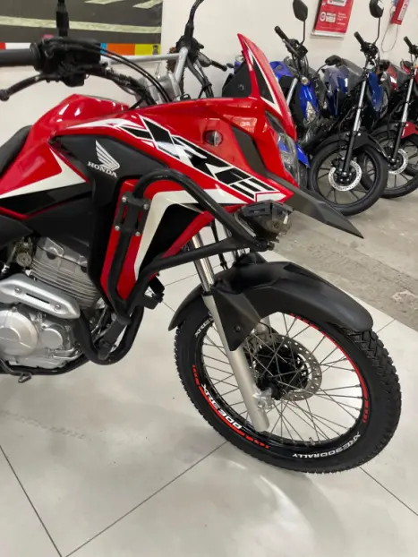 HONDA XRE 300 RALLY ABS, Foto 3