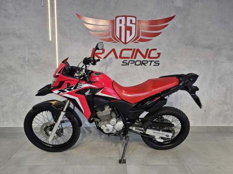 HONDA XRE 300 RALLY ABS, Foto 2