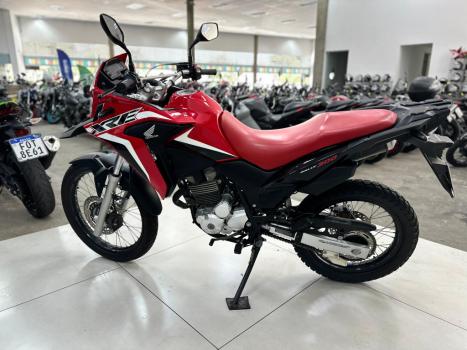HONDA XRE 300 RALLY ABS, Foto 5