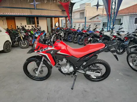 HONDA XRE 300 RALLY ABS, Foto 3