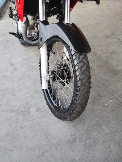 HONDA XRE 300 RALLY ABS, Foto 5