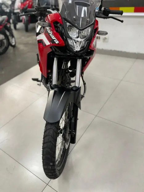 HONDA XRE 300 Sahara RALLYE, Foto 5