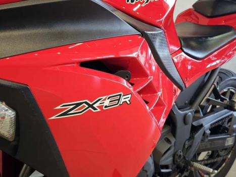 KAWASAKI Ninja 300 , Foto 8