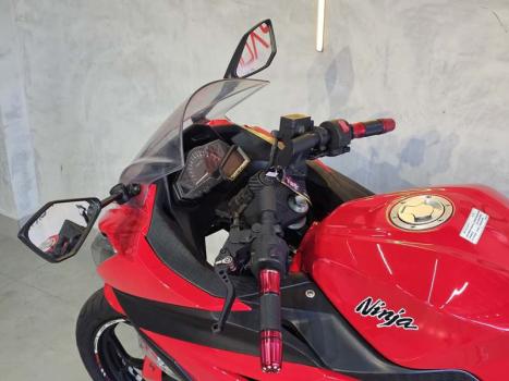 KAWASAKI Ninja 300 , Foto 9