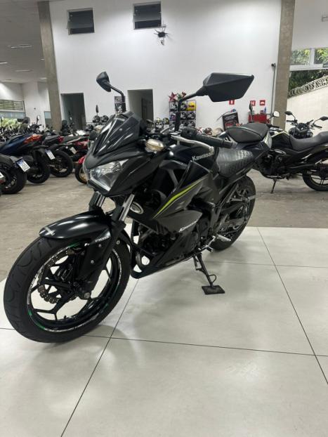 KAWASAKI Z 300 ABS, Foto 4