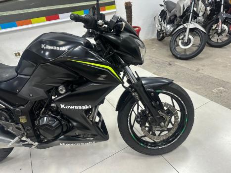 KAWASAKI Z 300 ABS, Foto 9