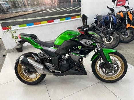KAWASAKI Z 300 ABS, Foto 9