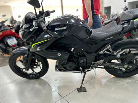 KAWASAKI Z 300 ABS, Foto 3