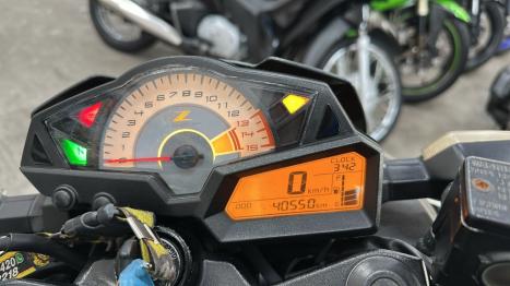 KAWASAKI Z 300 ABS, Foto 13