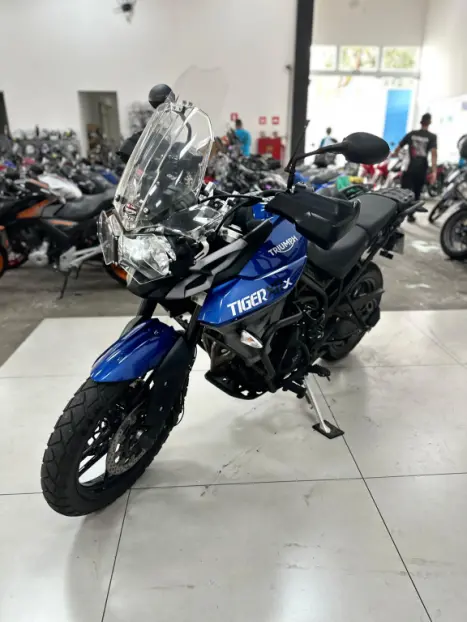 TRIUMPH Tiger 800 XRX, Foto 7