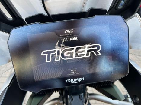 TRIUMPH Tiger 900 RALLY PR, Foto 12