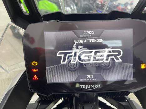 TRIUMPH Tiger 900 RALLY PR, Foto 10