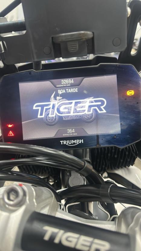 TRIUMPH Tiger 900 RALLY PR, Foto 3