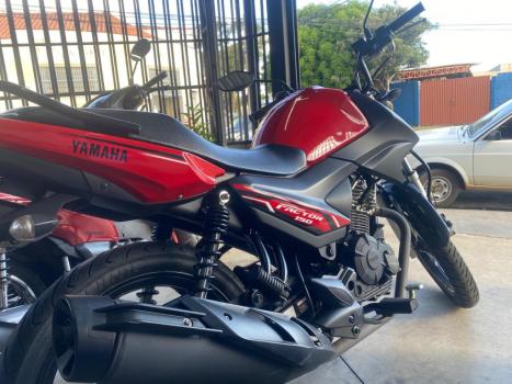 YAMAHA Factor 150 ED, Foto 2